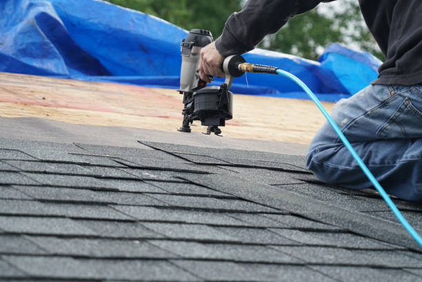 Quick and Trustworthy Emergency Roof Repair Services in Cannon Falls, MN